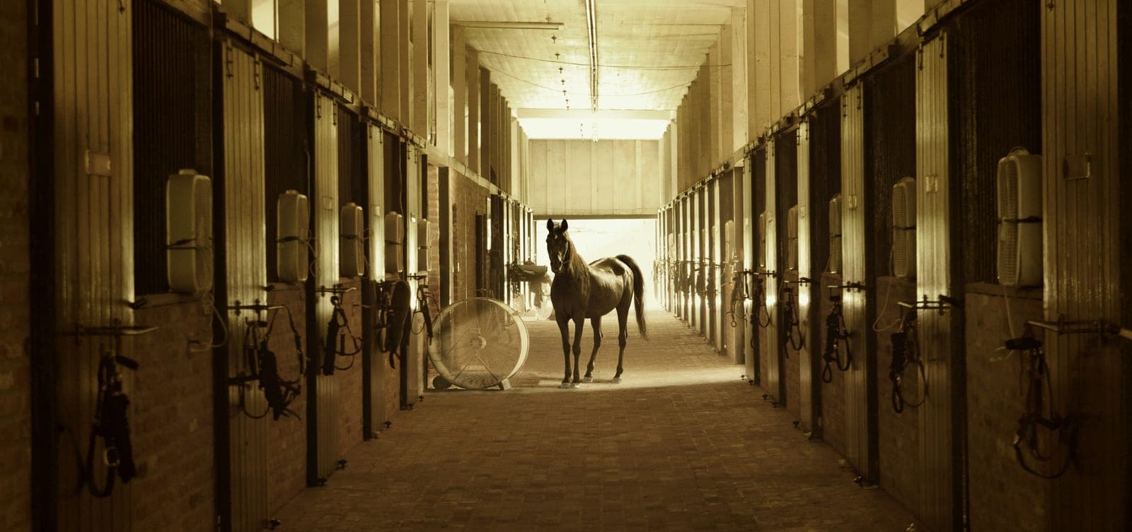 Main Barn