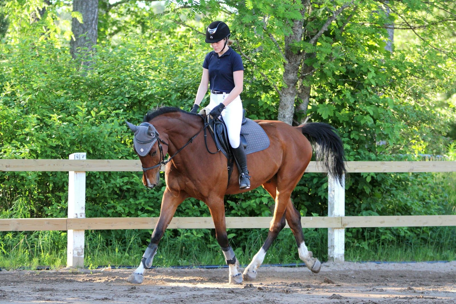 A rider on a bay horse in an outdoor arena with a white fence